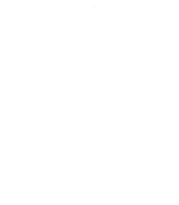 Viejo Barrio